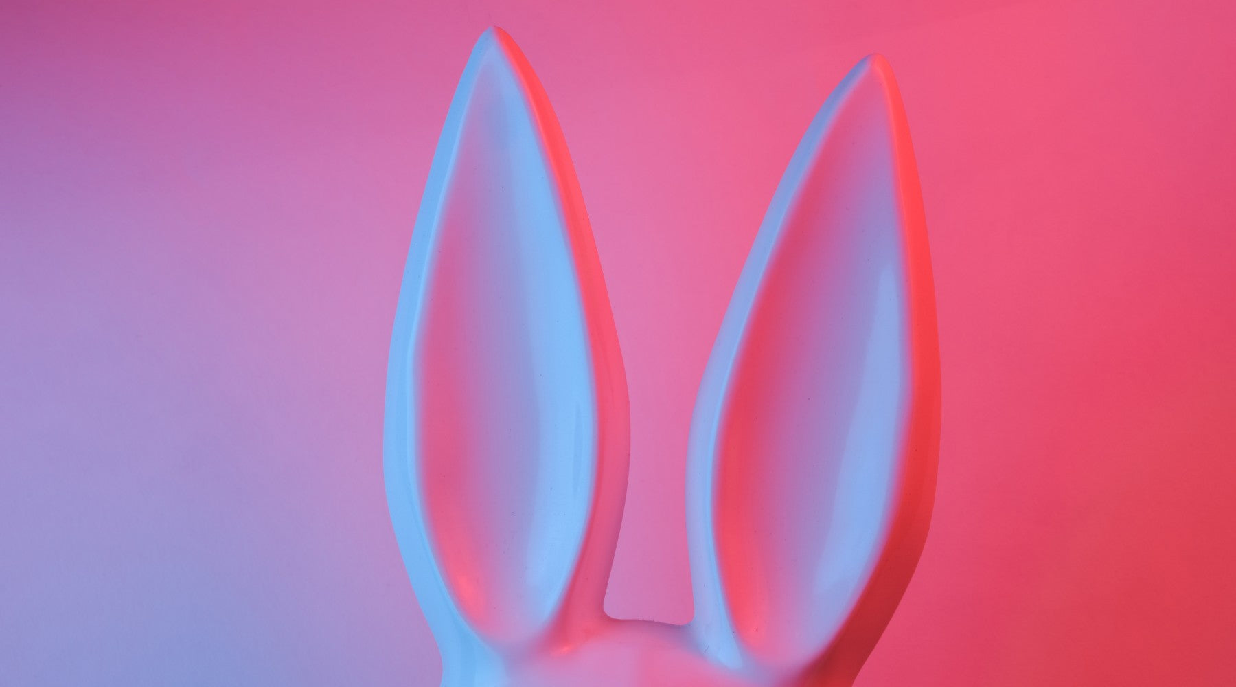 Neon Pink And Purple Easter Bunny Ears | OneNightOnly