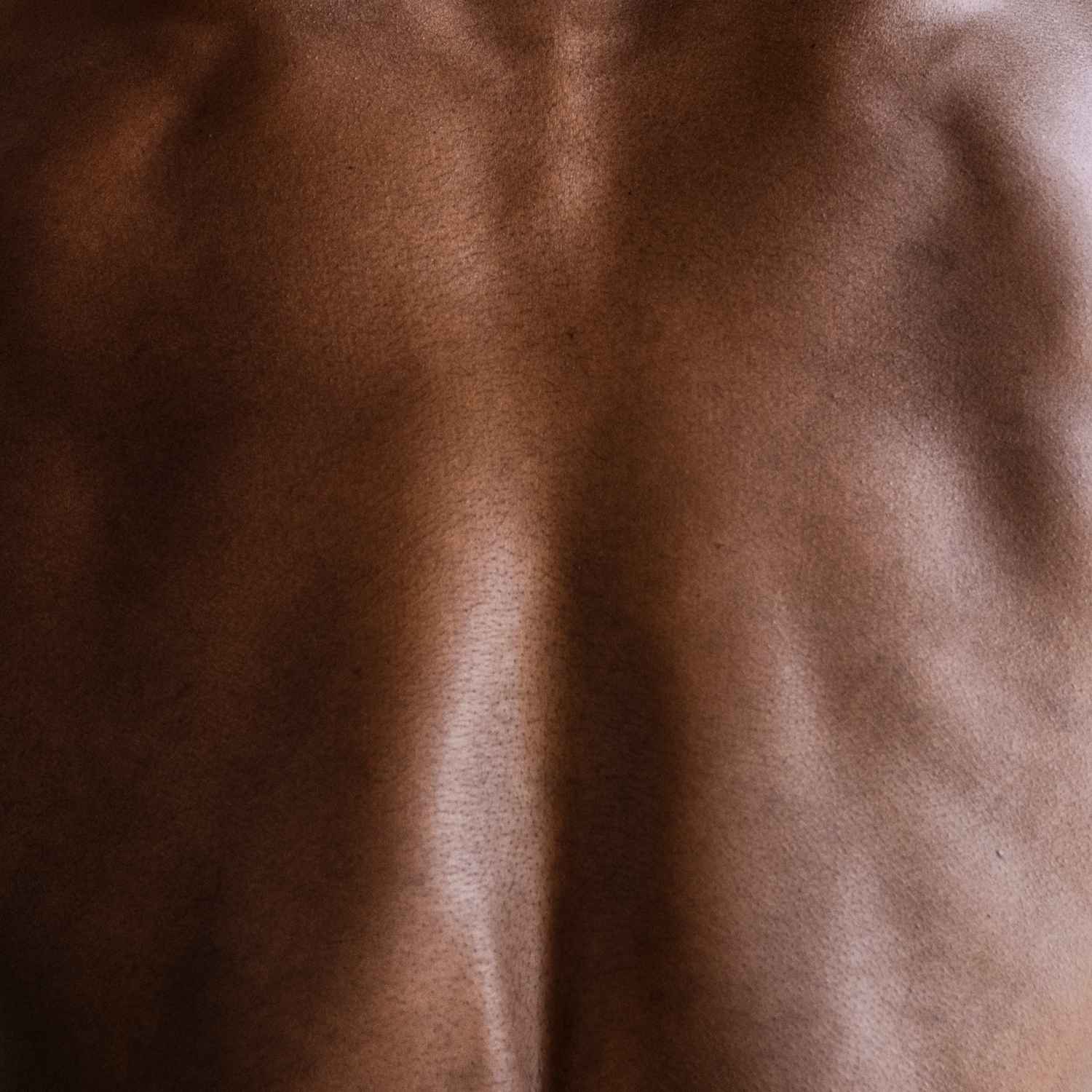 Close-up of a man's back | OneNightOnly