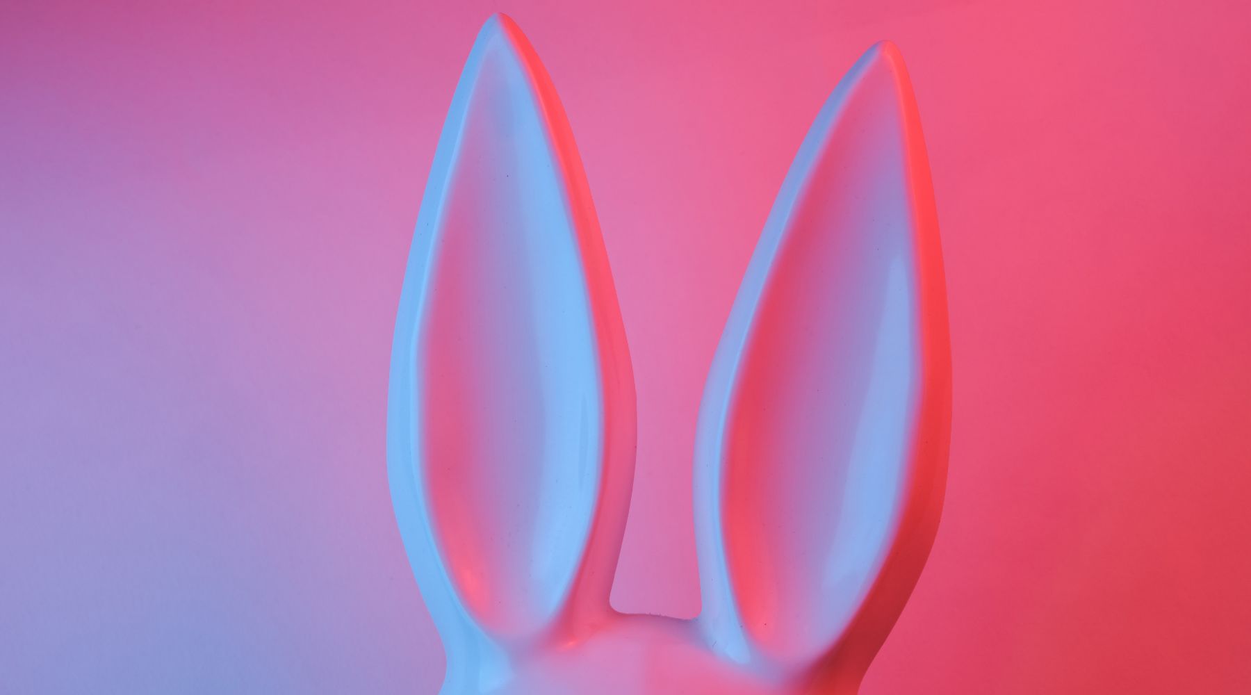 Neon Pink And Purple Easter Bunny Ears | OneNightOnly 