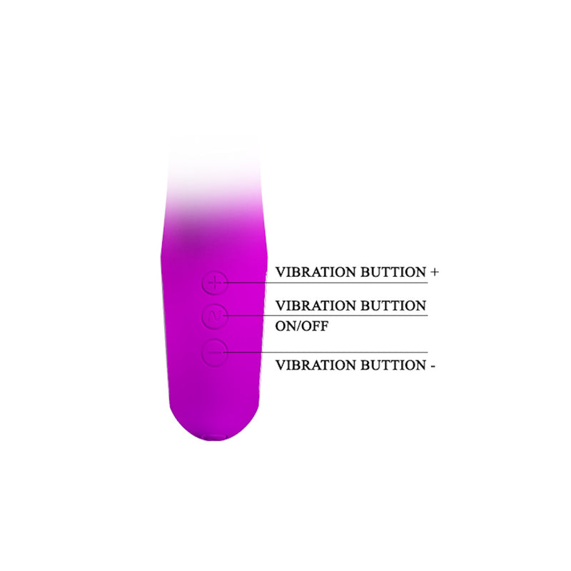 Pretty Love | Carina Rabbit Vibrator Controls