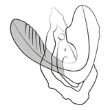 Diagram of the Romp | Reverb Clitoral Suction And G-Spot Dual Stimulator in use